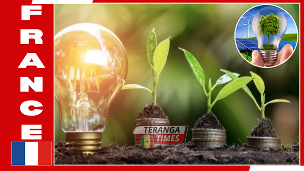 Transition Énergétique: Les Français Toujours Plus Connectés aux Solutions Vertes