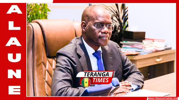 Des filets sociaux renforcés et des investissements massifs dans l'éducation et la santé (DGP Alhaminou Mohamed LO)