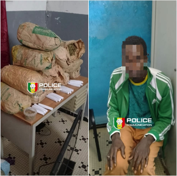 Sécurité & Lutte contre le trafic de drogue : La Police Nationale saisit 13 kg de chanvre indien à Ziguinchor Sécurité & Lutte contre le trafic de drogue : La Police Nationale saisit 13 kg de chanvre indien à Ziguinchor