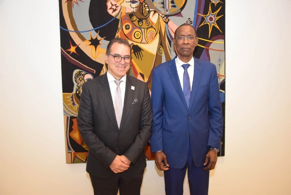 Assemblée générale de l'ONU : Cheikh Niang reçoit le secrétaire général d'International IDEA pour évoquer une implantation à Dakar Assemblée générale de l'ONU : Cheikh Niang reçoit le secrétaire général d'International IDEA pour évoquer une implantation à Dakar