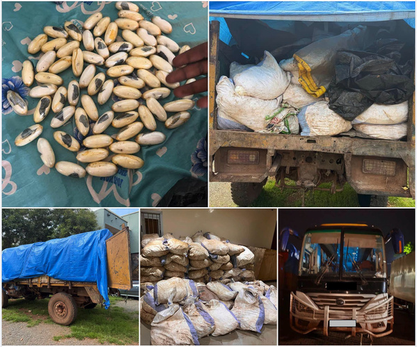 Lutte contre les Trafics & Protection Territoriale : Saisie record de cocaïne et de 7,5 tonnes de cyanure par les Douanes à Kédougou !