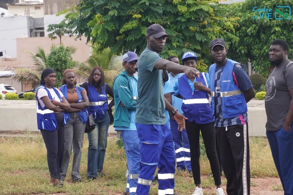Dakar : La Direction Générale du Cadre de Vie végétalise le boulevard Aliou Ardo Sow sur la VDN