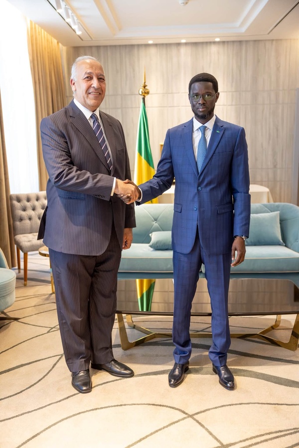Aviation et Commerce : Air Cairo prépare une ligne directe Le Caire-Dakar et un partenariat avec Air Sénégal Aviation et Commerce : Air Cairo prépare une ligne directe Le Caire-Dakar et un partenariat avec Air Sénégal