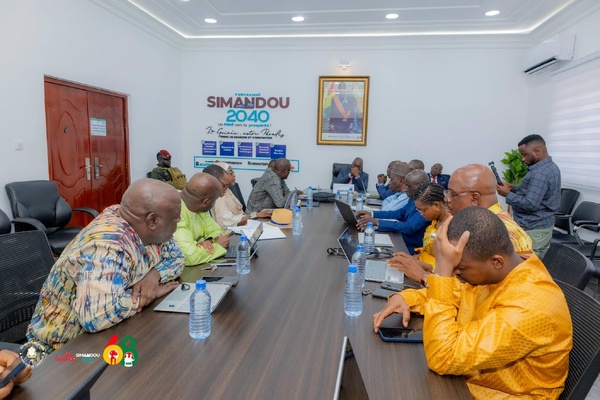 Guinée : le ministre de l'Énergie et la BAD définissent un nouvel appui budgétaire pour le secteur énergétique