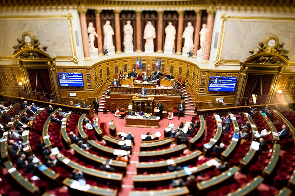 France : le Sénat adopte l’abrogation du Code noir, un vote à portée mémorielle