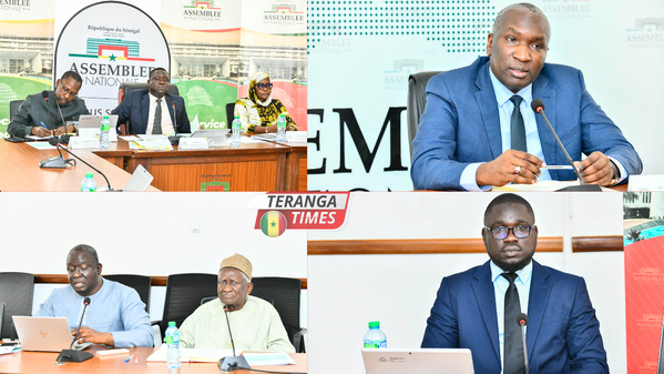 Foncier au Sénégal: le Directeur des Domaines révèle les irrégularités relevées et appelle à une réforme en profondeur Foncier au Sénégal: le Directeur des Domaines révèle les irrégularités relevées et appelle à une réforme en profondeur