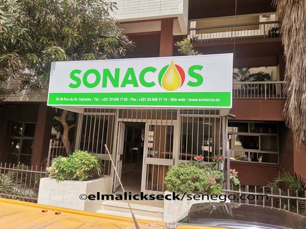La SONACOS cherche 100 milliards de FCFA pour acheter 250 000 tonnes d’arachide La SONACOS cherche 100 milliards de FCFA pour acheter 250 000 tonnes d’arachide