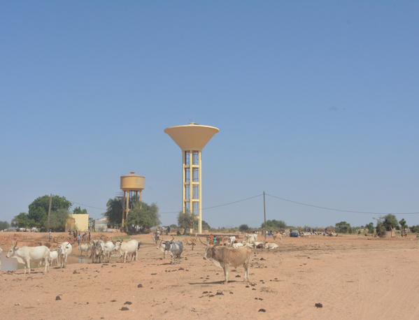 À Thilogne, la gestion des forages par la communauté atteint ses limites À Thilogne, la gestion des forages par la communauté atteint ses limites
