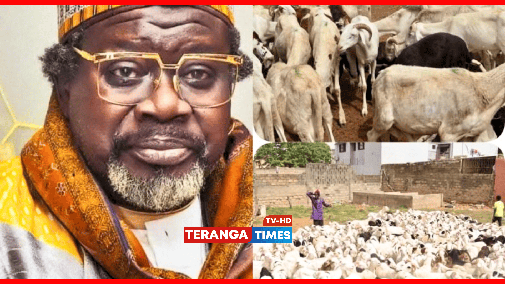Médina Baye : L’Imam Cheikh Tidiane Aliou Cissé offre 700 béliers aux nécessiteux