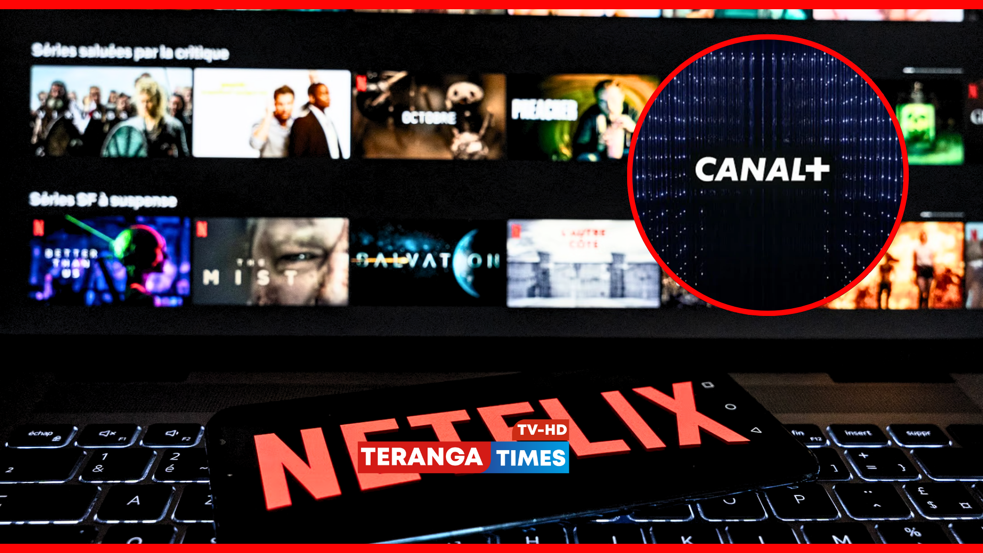 Netflix s’allie à Canal+ pour séduire le marché francophone africain