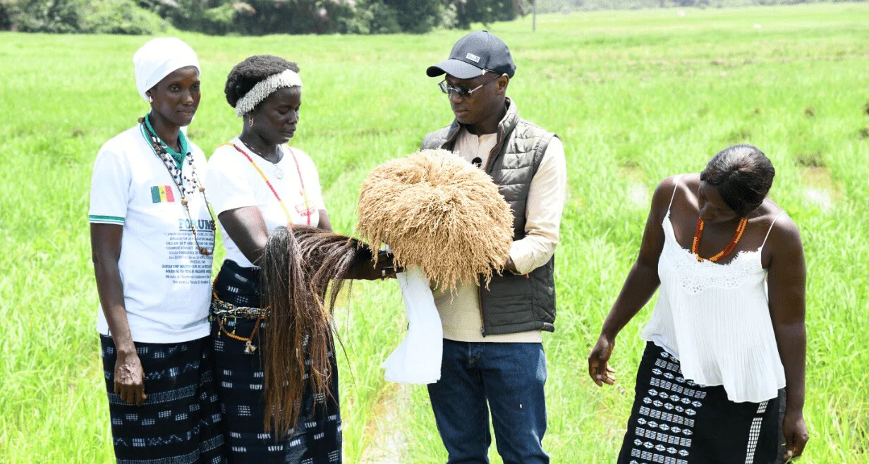 Le Sénégal mobilise 275 millions d’euros pour renforcer sa souveraineté alimentaire