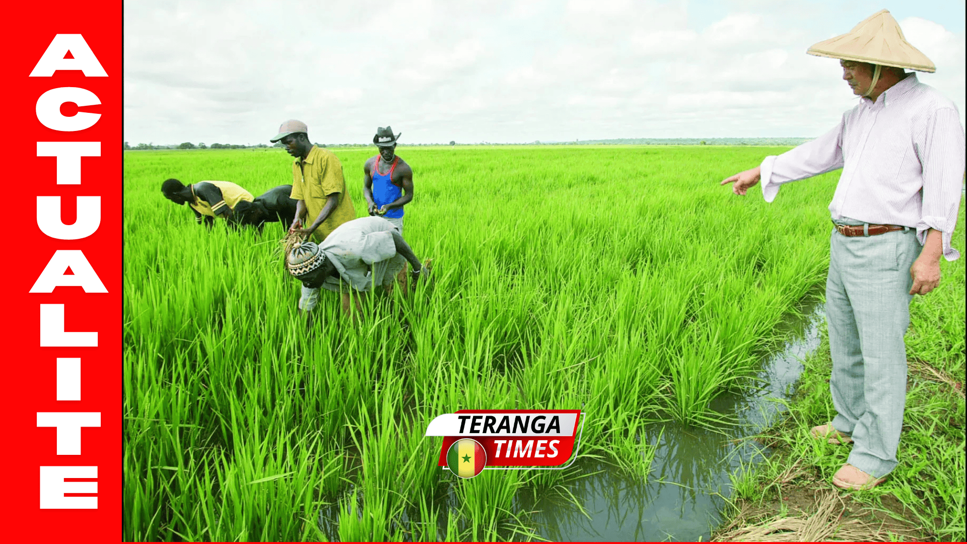 Pastef de Dagana en tournée pour défendre les priorités du Walo face à la montée des eaux et au défi de l’emploi