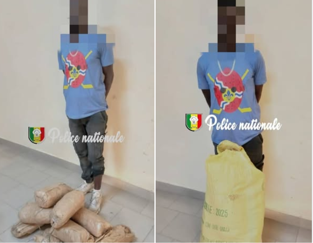Saisie de 10 kg de chanvre indien à Thiès : un suspect interpellé, un autre en fuite