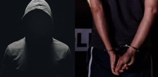 Cybercriminalité : Arrestation de trois administrateurs présumés d'un site pornographique et de groupes de prostitution