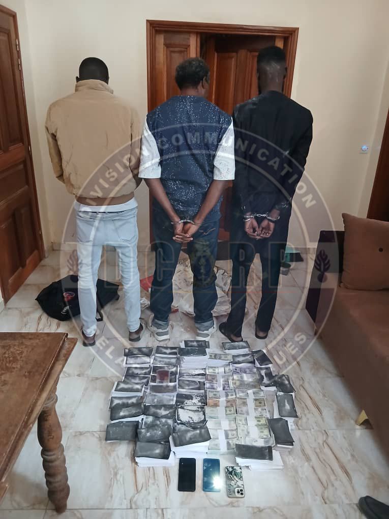 Keur Massar : la gendarmerie démantèle un réseau de faux monnayage, 500 millions FCFA saisis