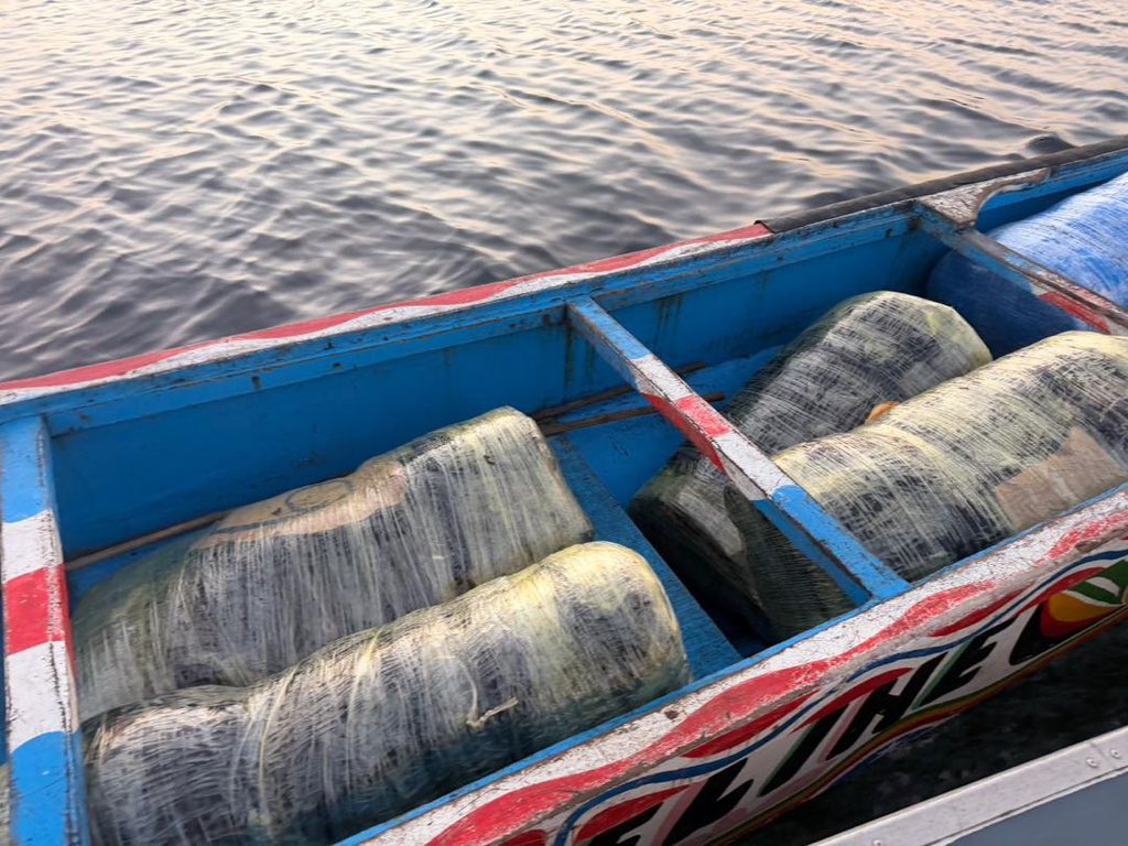 Trafic de drogue dans le Saloum : près d’une tonne de chanvre saisie par les Douanes de Fimela