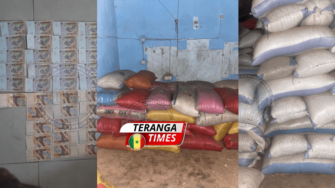 Kolda : la Gendarmerie démantèle un réseau de faussaires et saisit d'importants stocks de marchandises illicites