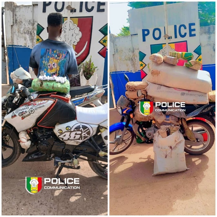 Lutte contre la drogue à Kolda: la police saisit plus de 44 kg de chanvre indien en une journée