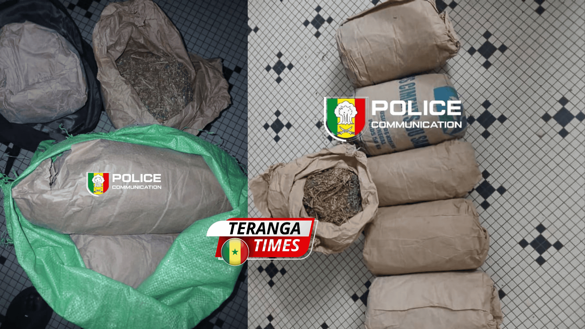 Lutte contre le trafic de drogue à Ziguinchor : saisie de 6 kg de chanvre indien sur l’axe Sindian – Bignona