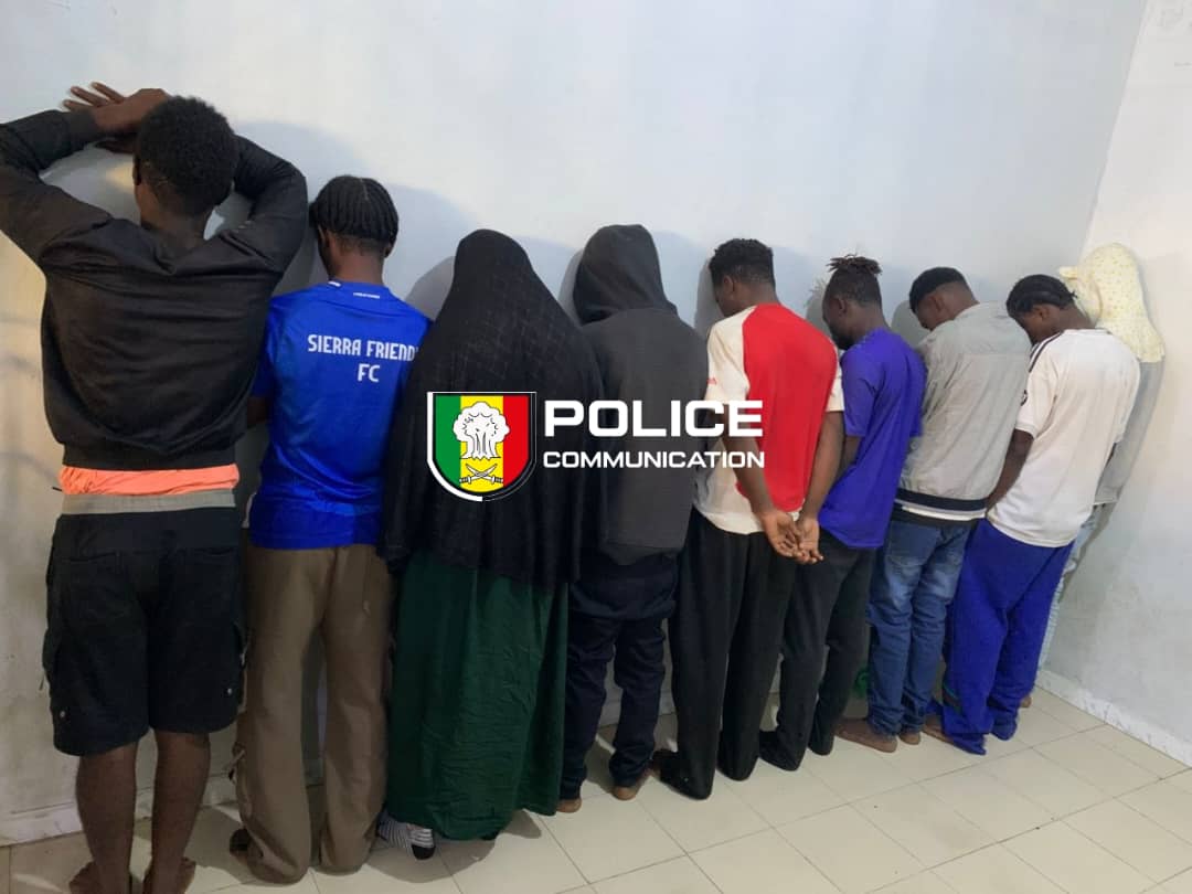 Malika : la police démantèle un réseau de trafic de stupéfiants et de psychotropes