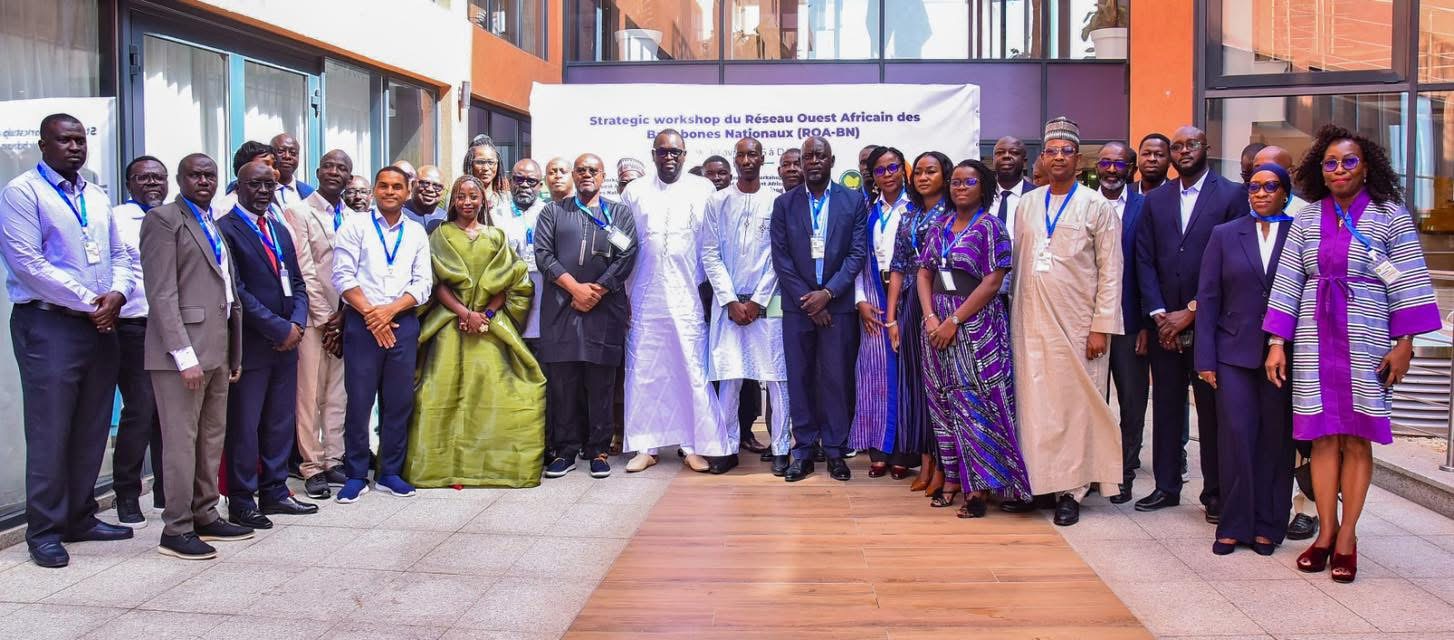 Connectivité au Sénégal : Le Gouvernement érige le Numérique en Droit Fondamental