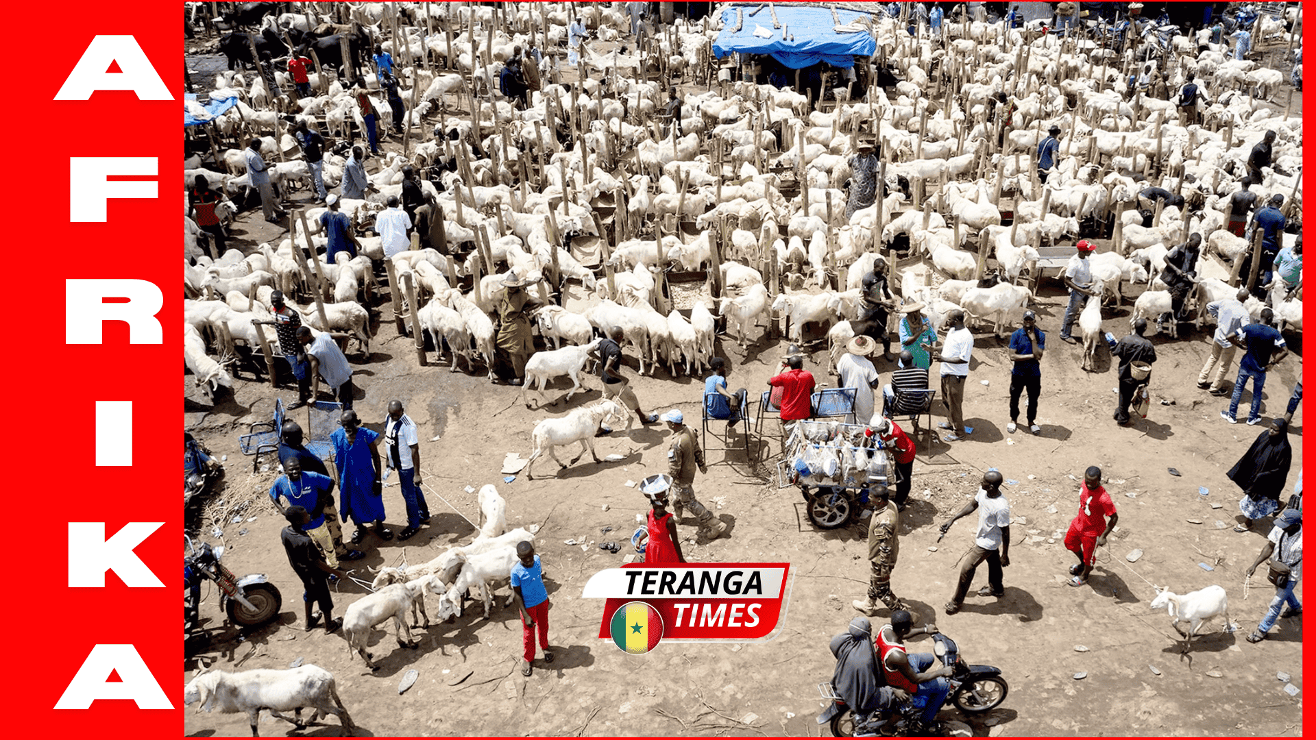 Sécurité au Sahel: La fermeture des marchés à bétail à Bamako, une mesure à double tranchant ?