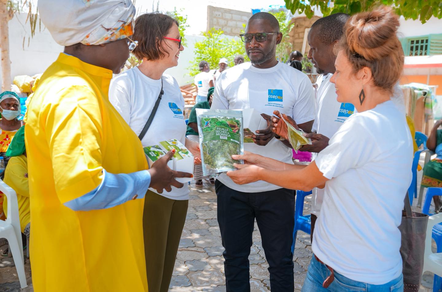 Stratégies d’exportation : L'ASEPEX mise sur l'immersion terrain pour conquérir le marché germanophone