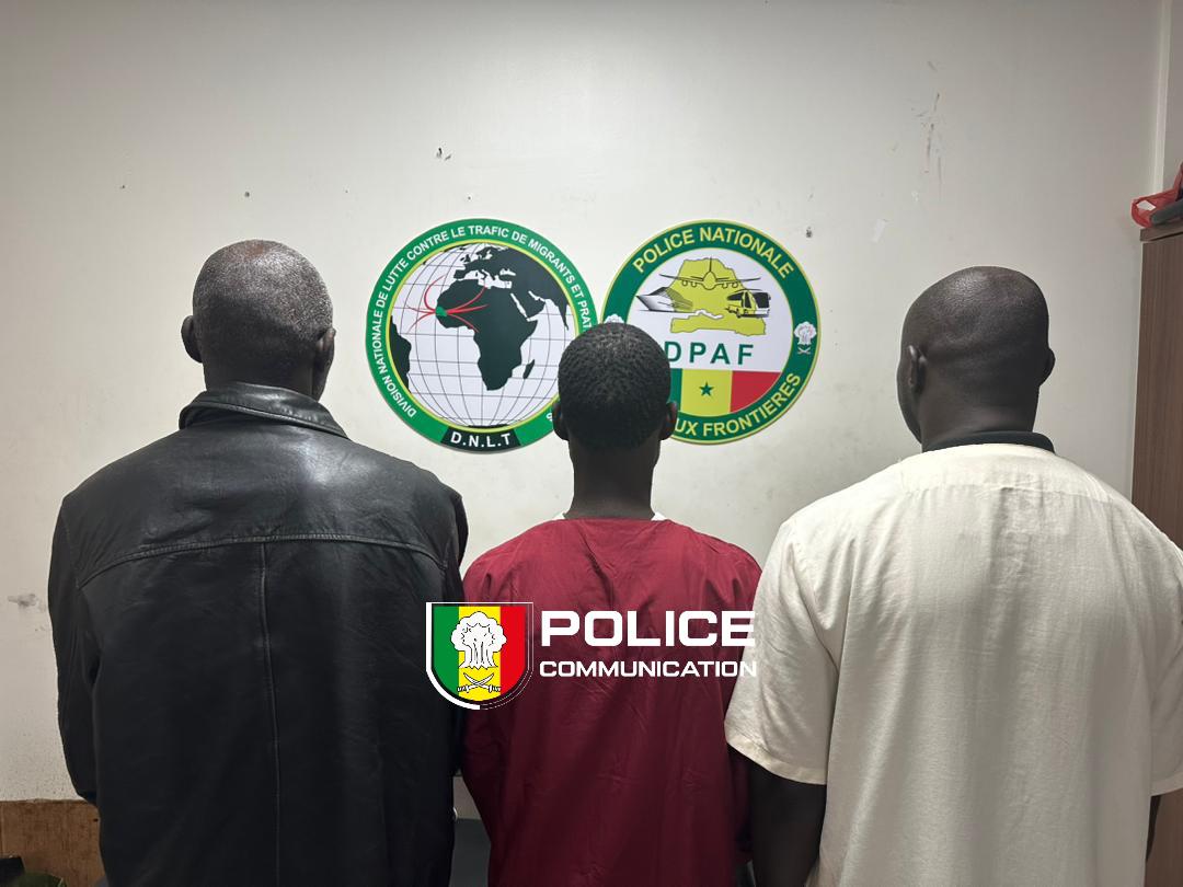 Trafic de migrants et faux monnayage : Trois faussaires déférés au parquet à Dakar