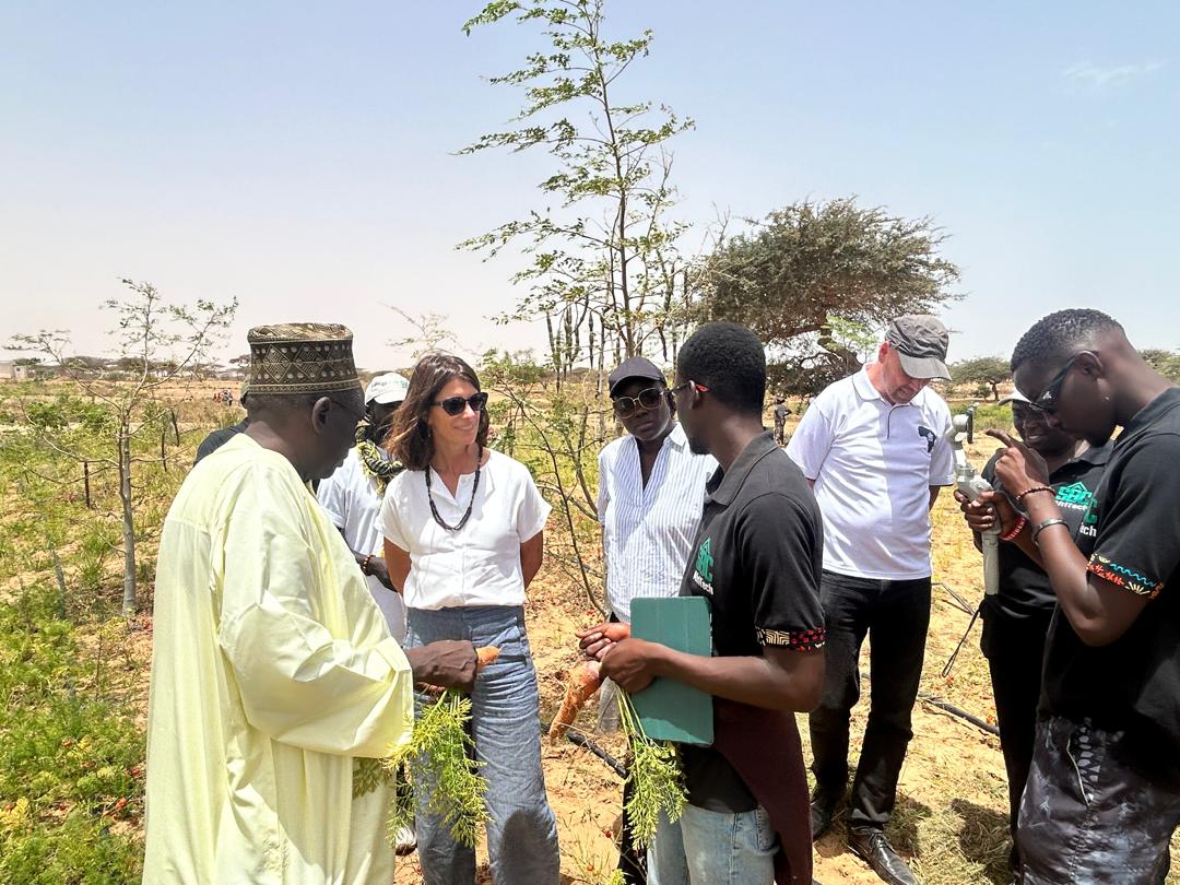Entrepreneuriat et Innovation Agricole : l’Ambassade des Pays-Bas au cœur des solutions durables à Louga et Lompoul