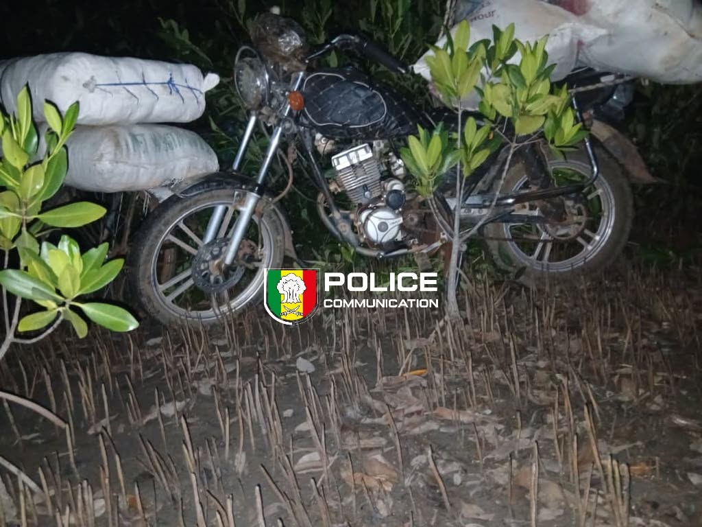 Sédhiou : La Brigade des Stupéfiants saisit 91 kg de chanvre indien après une traque nocturne