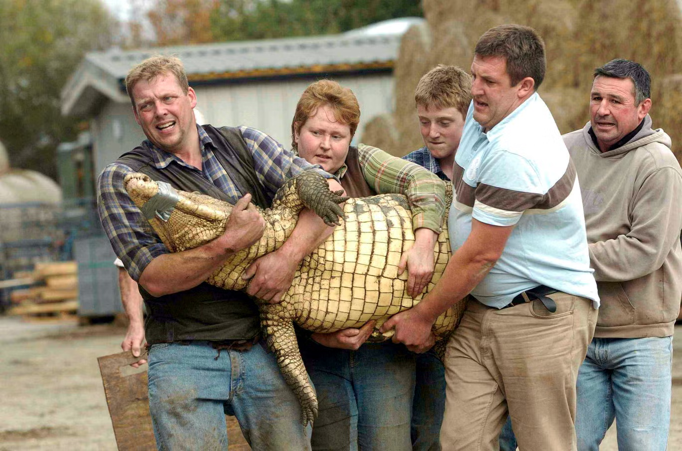 Royaume-Uni : un enfant de 3 ans grièvement blessé après avoir été jeté dans un enclos à crocodiles, une employée du zoo salue comme "incroyablement héroïque"