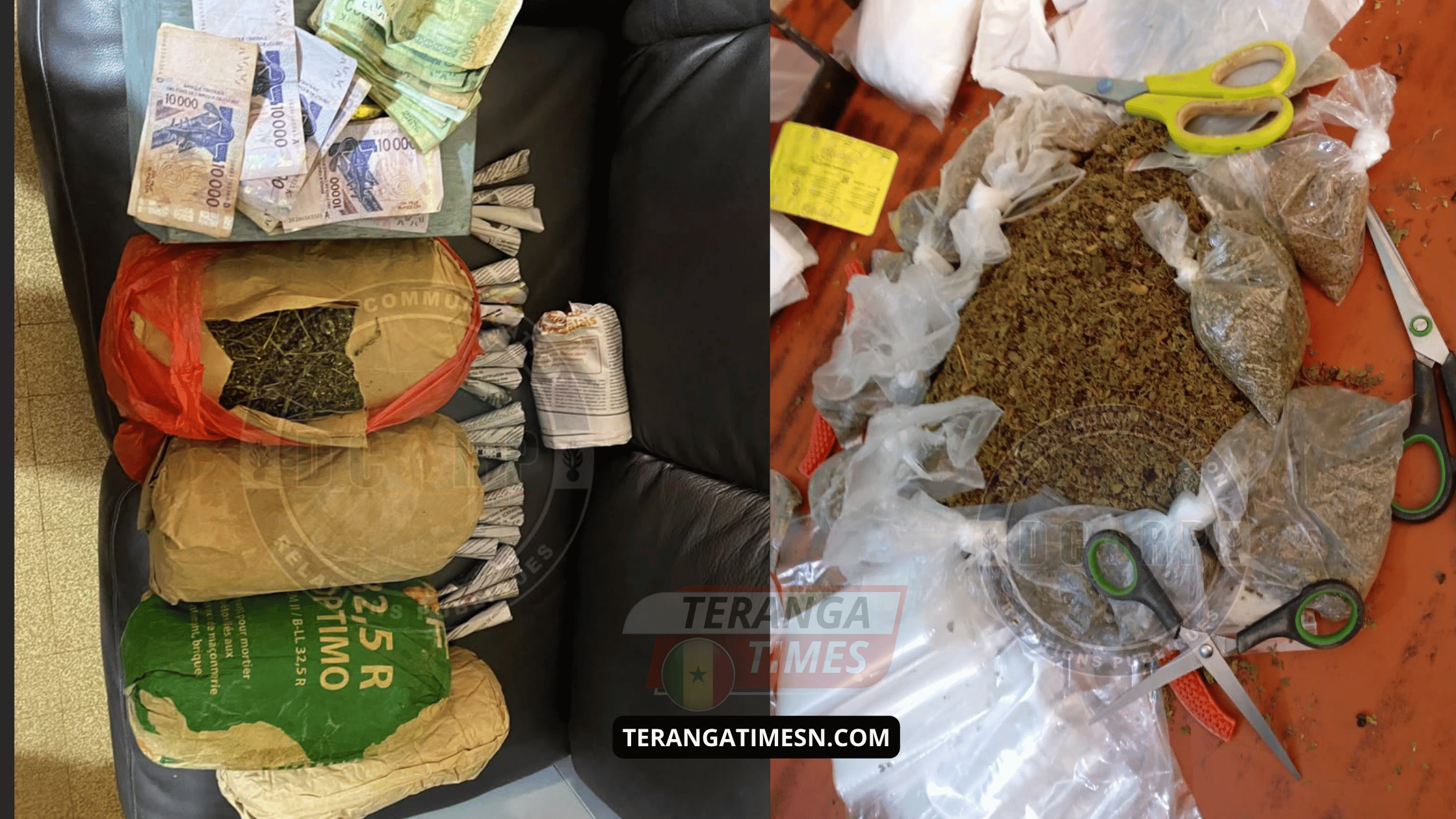Dakar: la gendarmerie frappe fort contre un réseau de trafic de drogue “Kush” et de chanvre indien