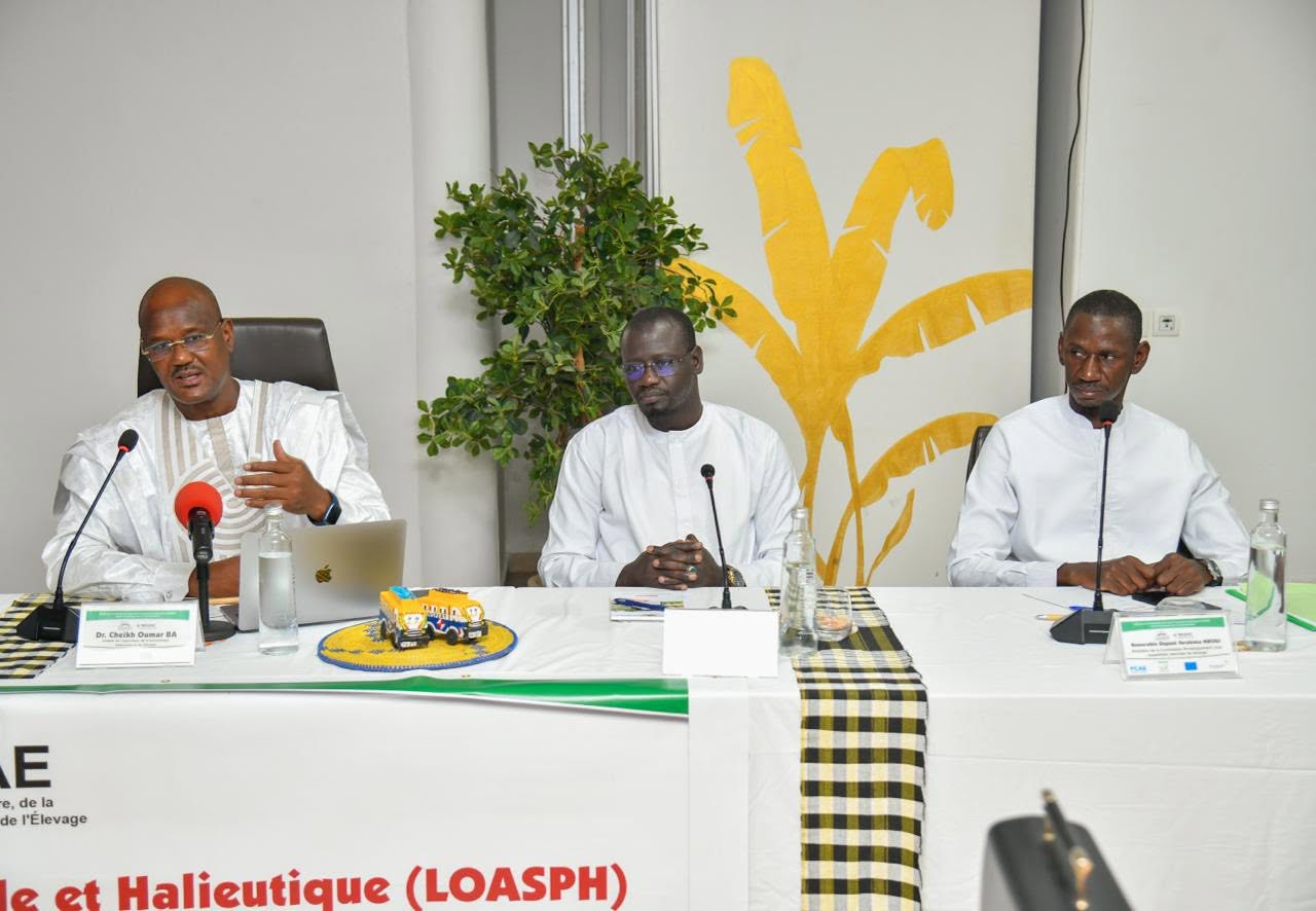 Saly: Les députés planchent sur le nouveau projet de loi d'orientation agro-sylvo-pastorale et halieutique (LOASPH)
