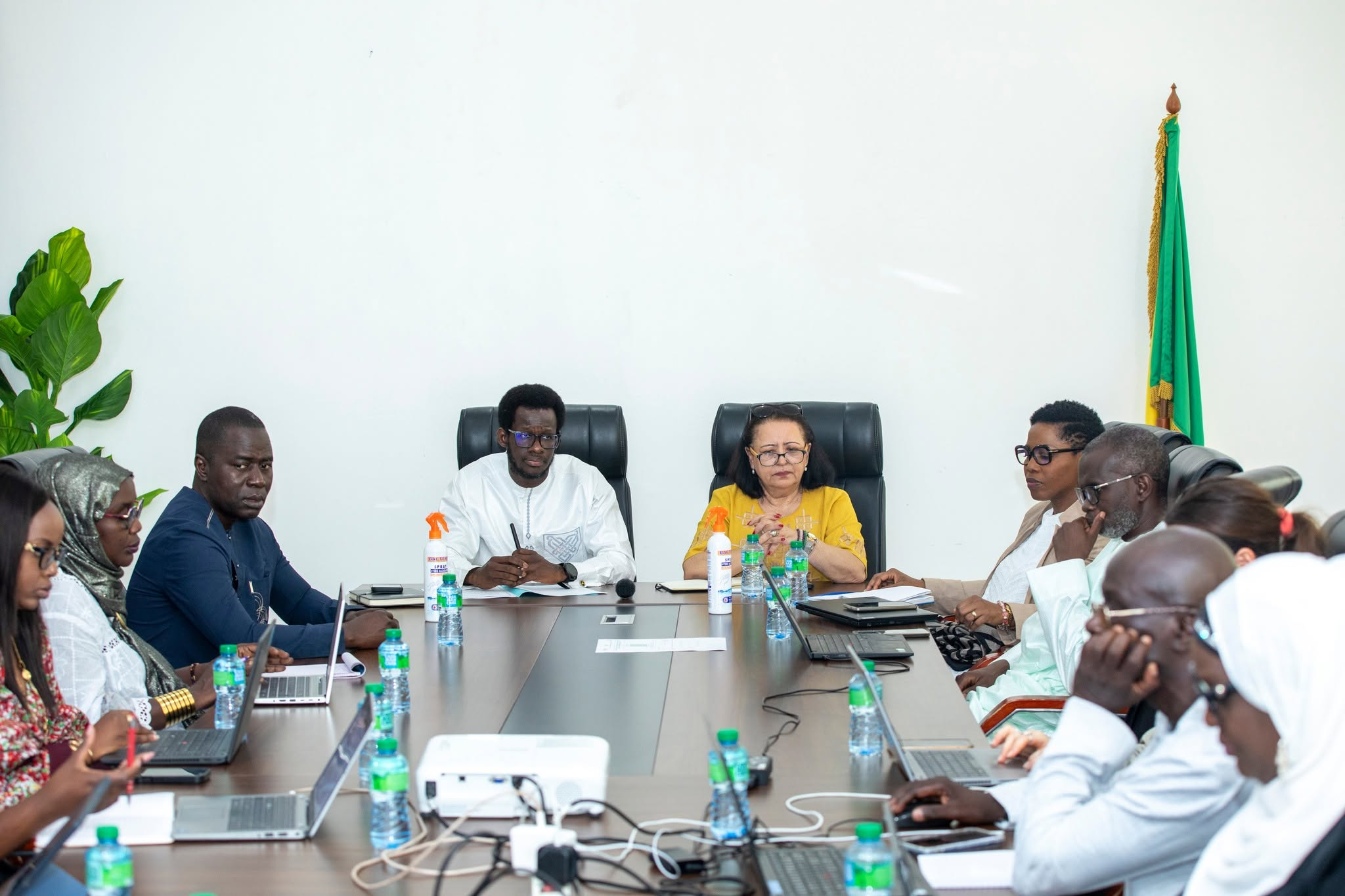 Développement durable: le Sénégal valide son 3e Rapport National Volontaire sur les ODD avant le grand oral de New York