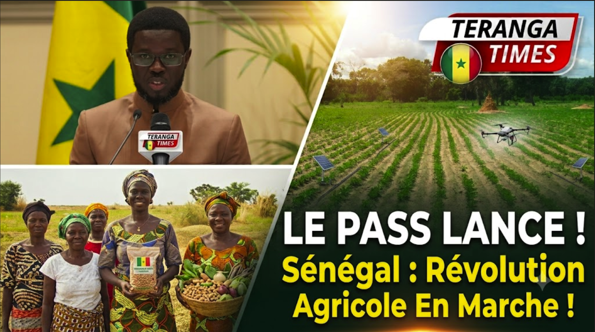 Lancement du PASS au Sénégal : L'État mobilise 150 milliards FCFA pour transformer l'agriculture