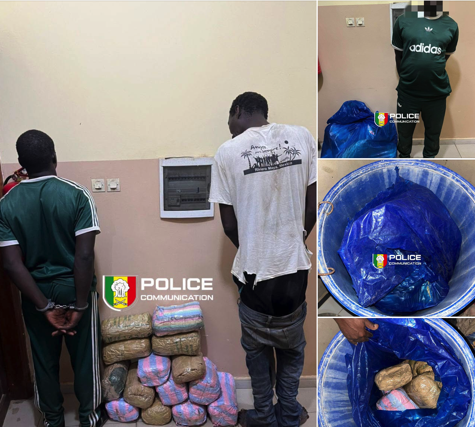 Kaolack : Infiltration, perquisition et coup de filet majeur de la BRS avec 15 kg de chanvre indien saisis