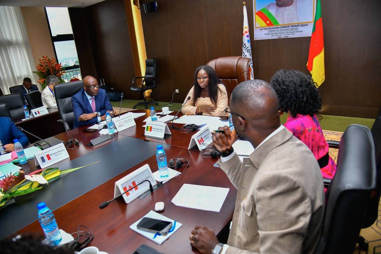Diplomatie au Cameroun : La délégation de l'Assemblée nationale du Sénégal brille lors des travaux des commissions de l'APF à Yaoundé