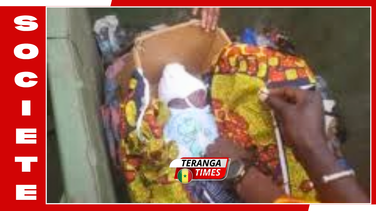 Ziguinchor: Découverte macabre d'un nouveau-né mutilé sous un pont, une enquête ouverte