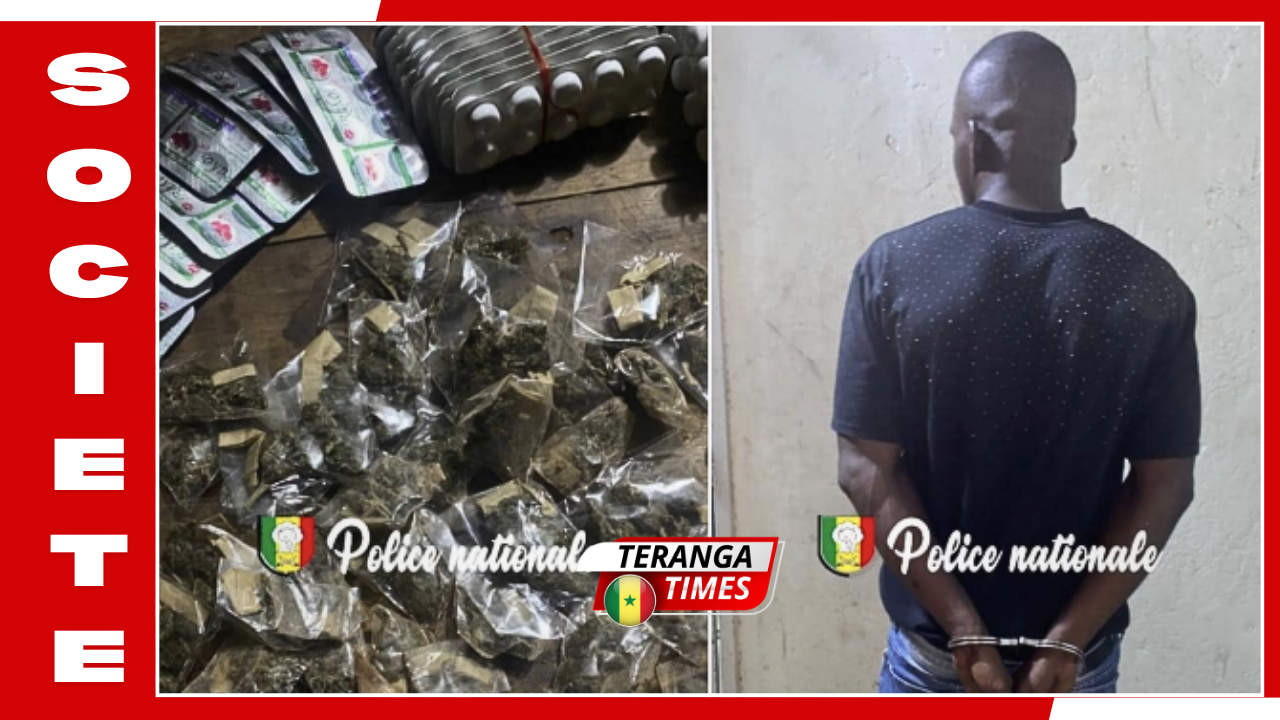 Kédougou: Vaste coup de filet de la BRS, plus de 2 000 comprimés de Tramadol et du Kush saisis à Bambaranding