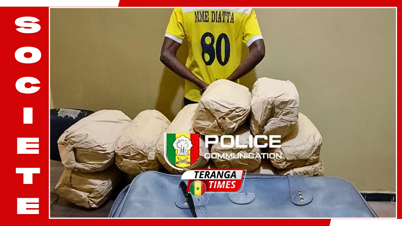 Ziguinchor : La Sûreté urbaine frappe un grand coup, un trafiquant interpellé avec 12 kg de chanvre indien près de Boutoute