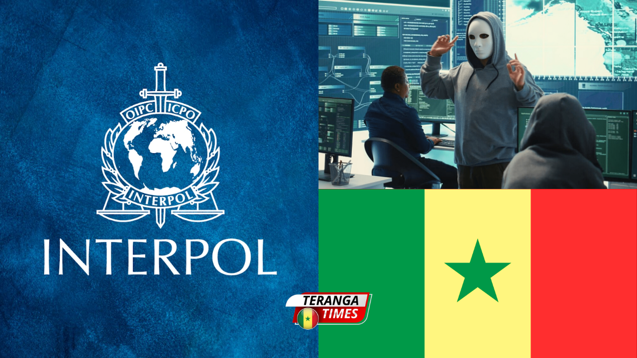Cybercriminalité en Afrique 2026: Interpol alerte sur la professionnalisation des réseaux armés par l'IA (Focus Sénégal)