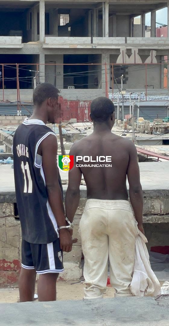 Médina : 13 képas de Kush et une machette saisis lors d’une opération policière