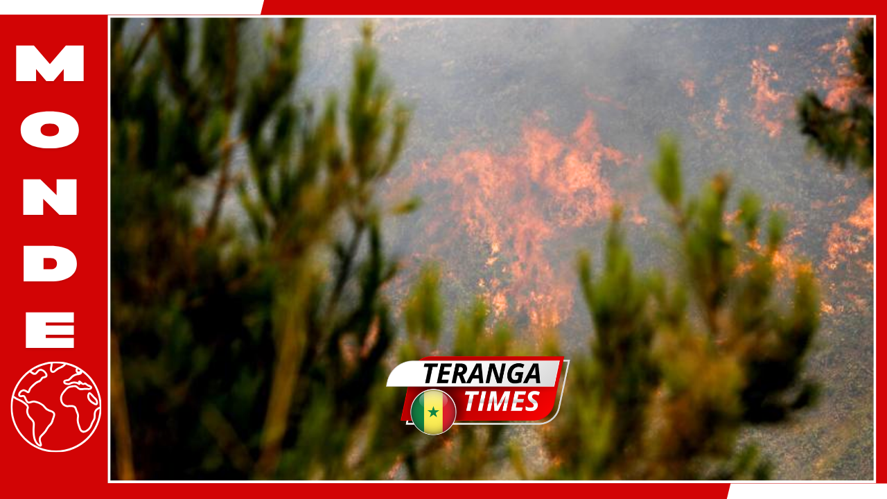 Liban: Israël accusé d'avoir déclenché des incendies de forêt dans le sud du pays