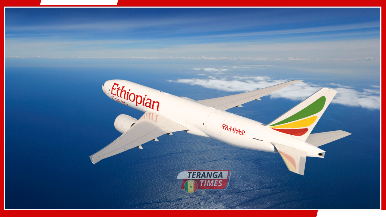 AVIATION: Le top 10 des meilleures compagnies aériennes en Afrique pour voyager en toute sécurité et confort