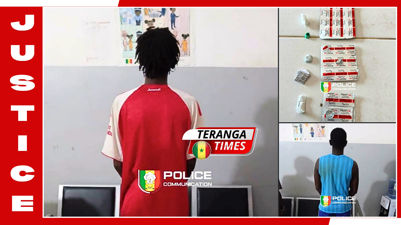 Mbacké: 17 tubes de haschisch, 13 comprimés et 3 pierres de crack saisis
