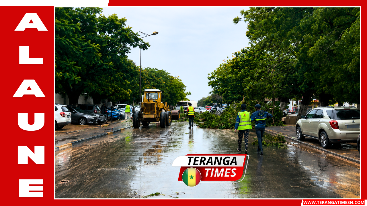 Intempéries à Dakar : La municipalité déploie un plan d'urgence et annonce des visites auprès des sinistrés