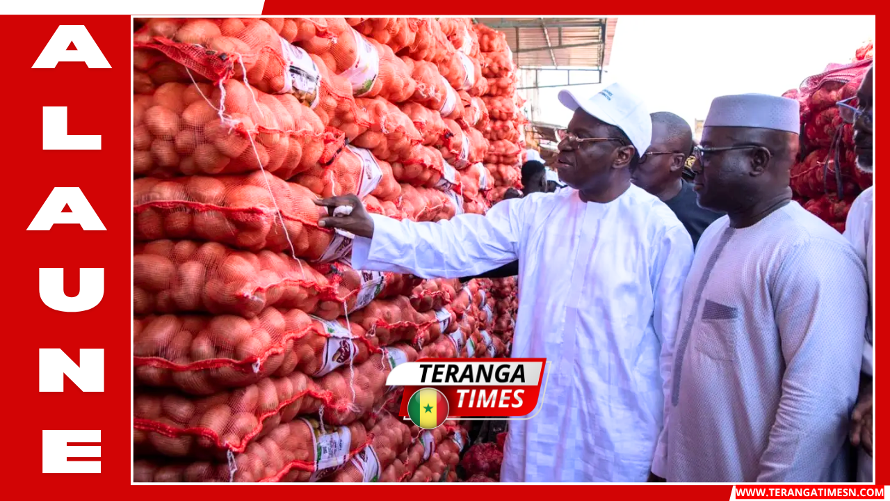 Marché de l'oignon au Sénégal: Le gouvernement lève le gel des importations pour stabiliser les prix