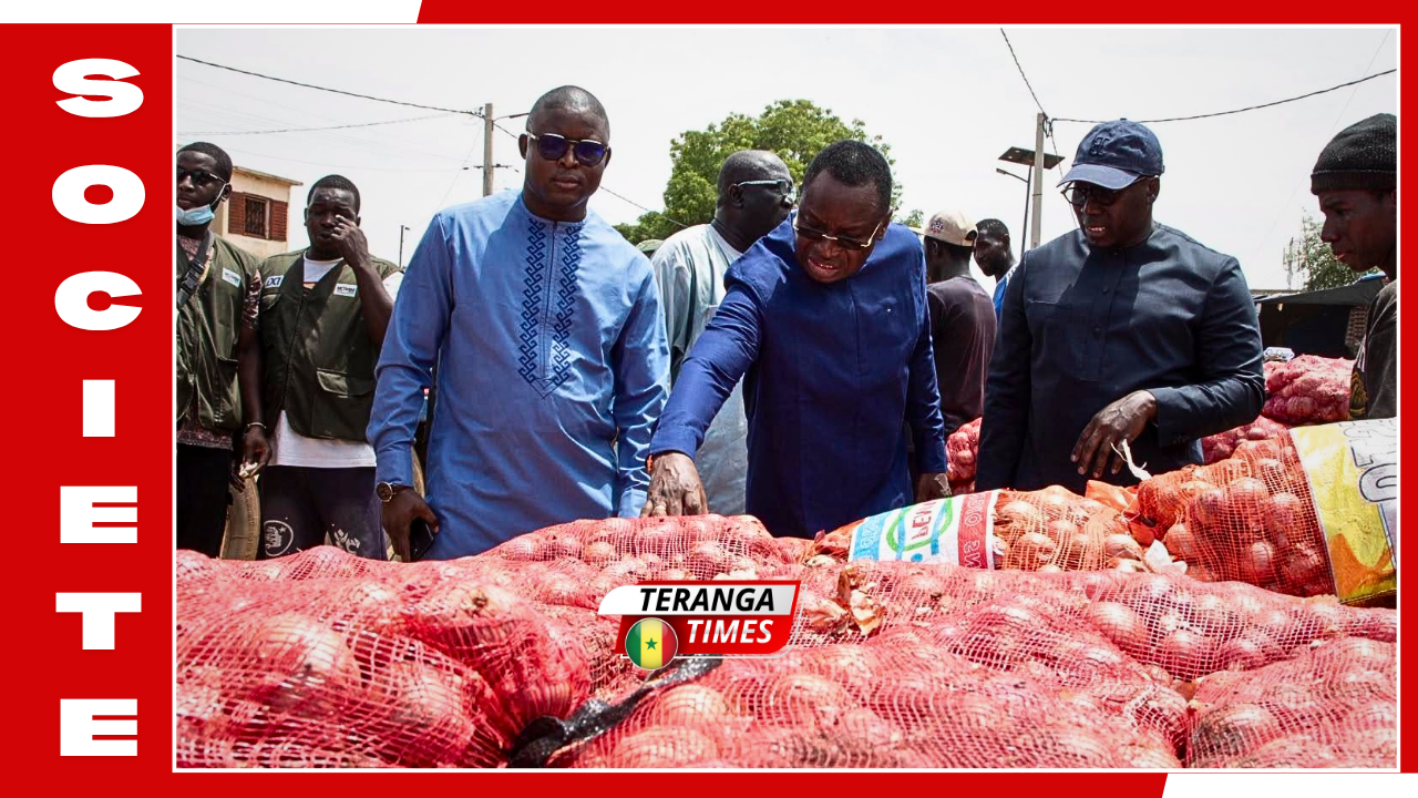 Sénégal: le gouvernement lève le gel des importations d’oignons