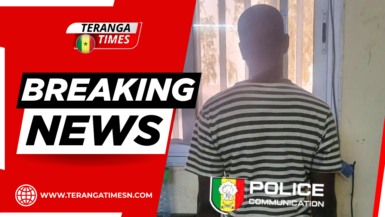 Kaolack: Interpellation d'un vendeur de véhicules à Ndorong pour une escroquerie de plus de 114 millions FCFA