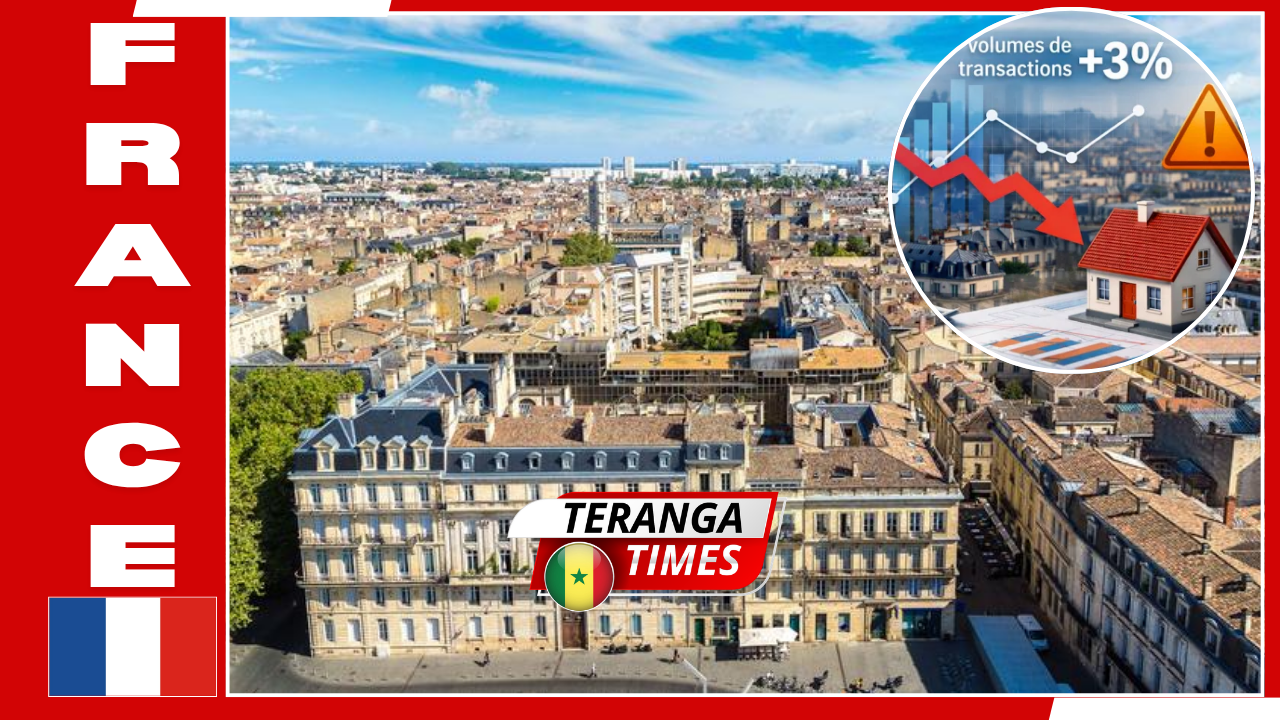 Marché Immobilier en France : Entre Baisse des Taux et Nouvelles Stratégies d'Acquisition